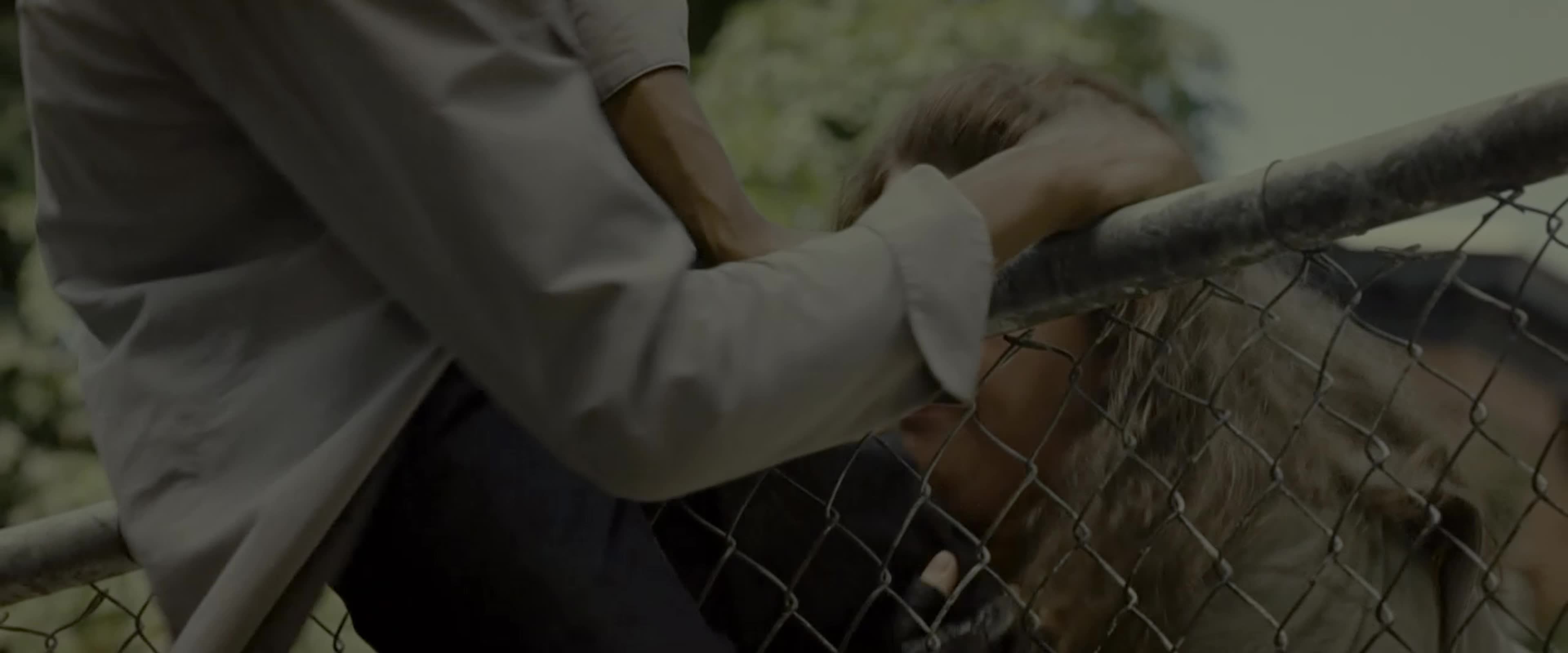 As bem armadas (2013) The Heat (Paul Feig) Sandra Bullock, Melissa McCarthy 2160 HDR mkv