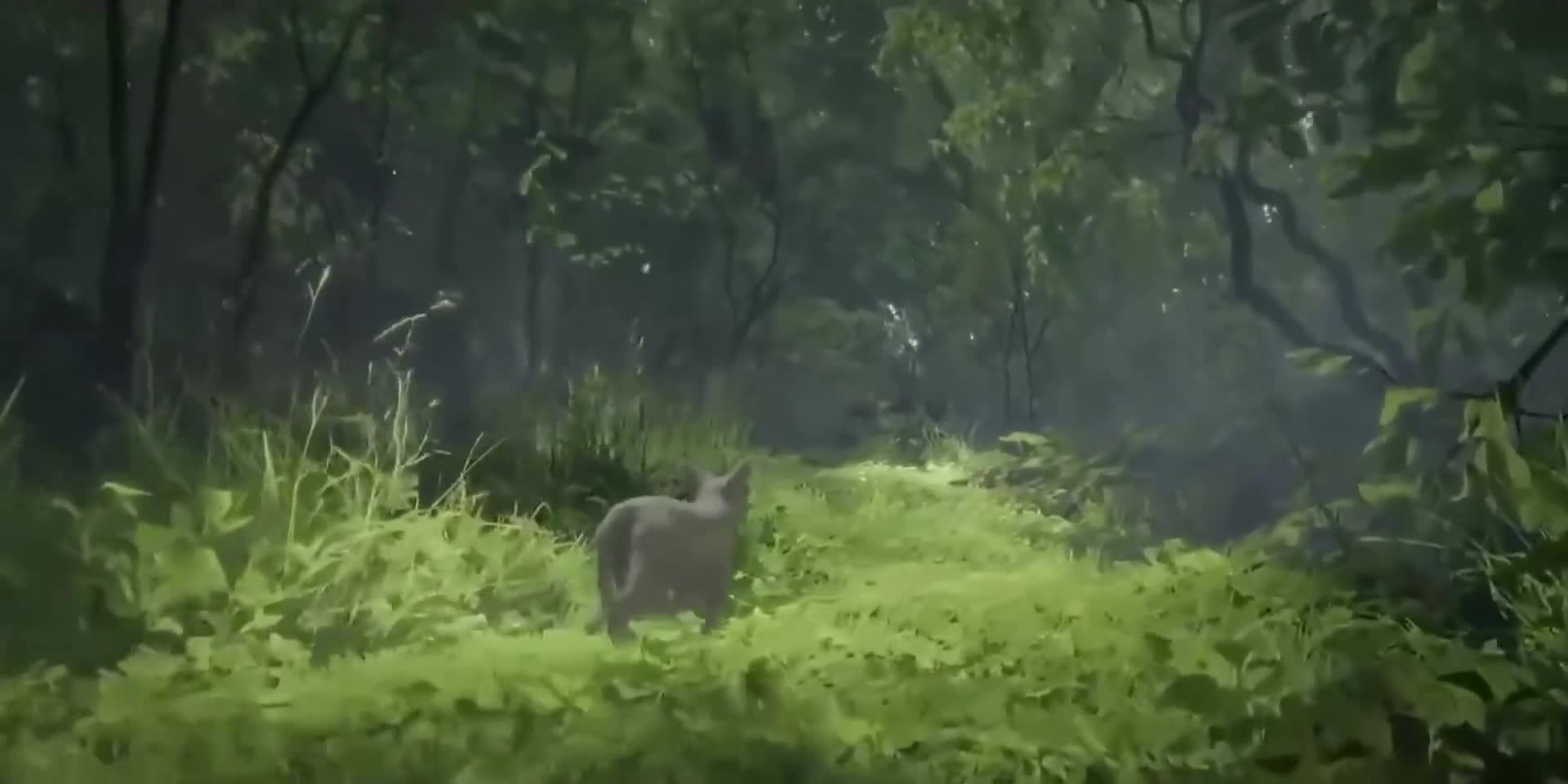 Kočičí odysea   Flow 2024 1080p WEBRip x264 AAC mp4