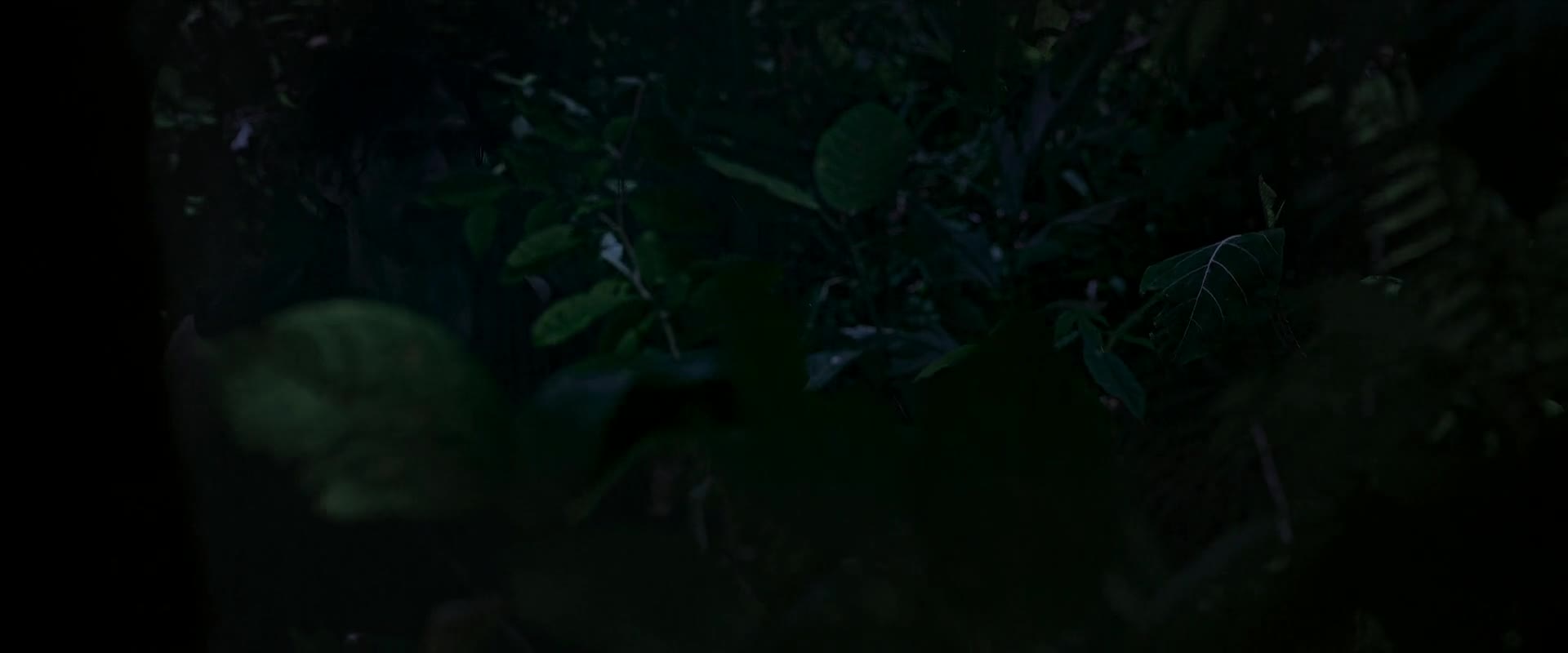 Lone Samurai 2025 1080p WEBRip x264 AAC5 1 CZ titulky mp4