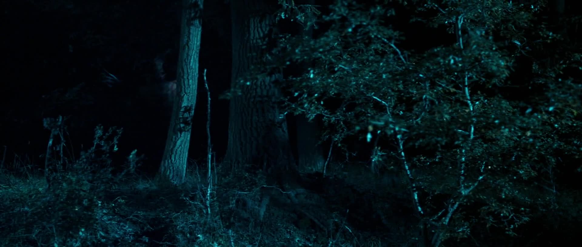 Silent Zone 2025 1080p WEBRip x264 AAC5 1 CZ titulky mp4