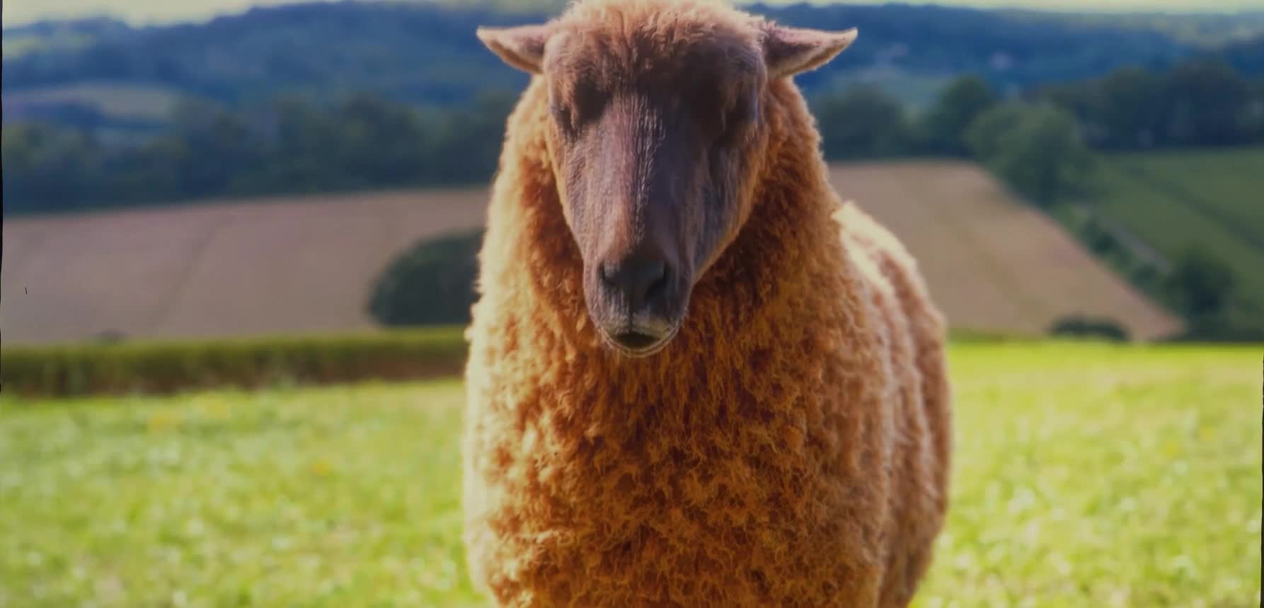 Béé team na stopě - The Sheep Detectives 2026 1080p TELESYNC MULTi x264 DKS mkv