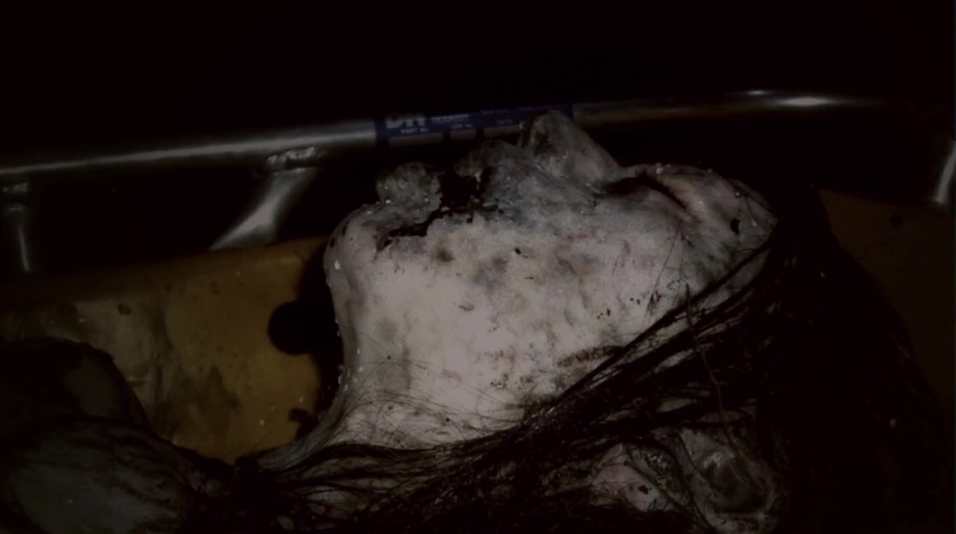 Lake Mungo 2008 1080p BluRay x264 [YTS AM] mp4