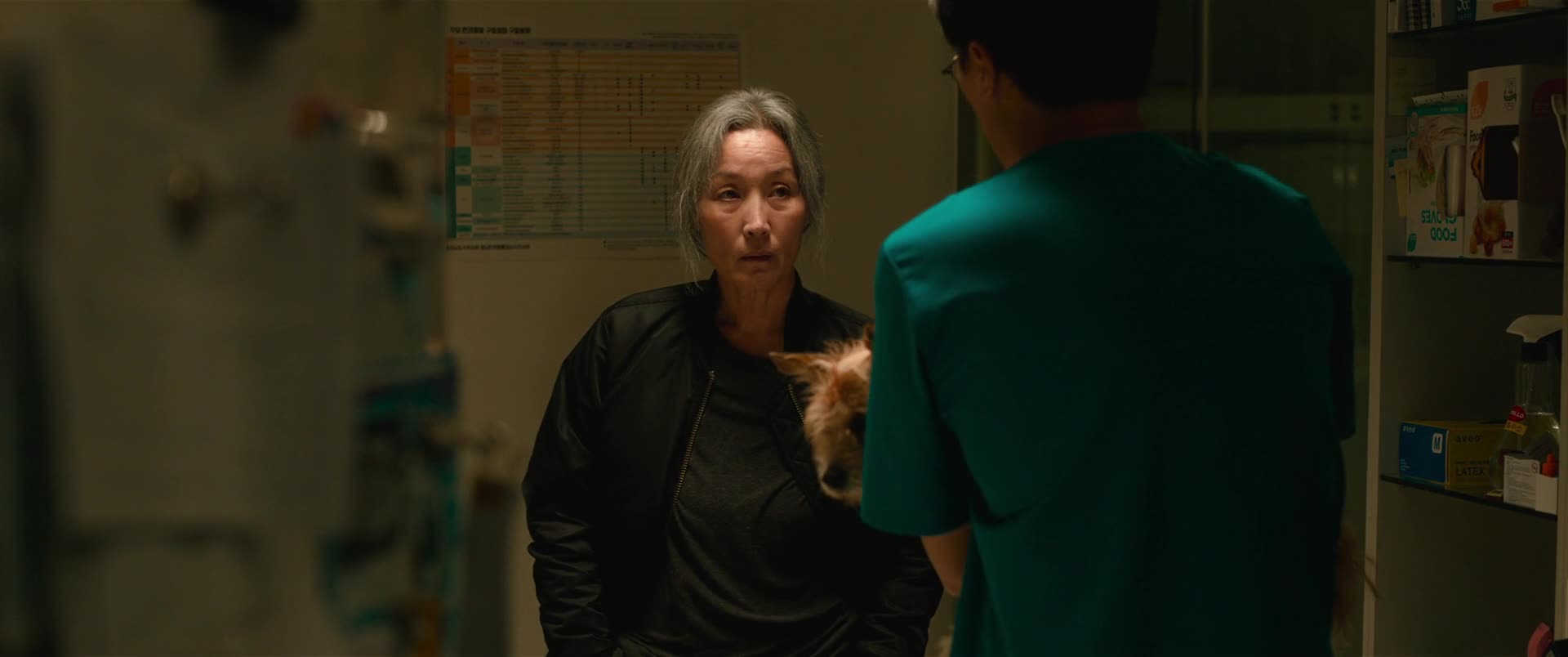 The Old Woman With The Knife 2025 1080p BluRay x264 AAC5 1 CZ titulky mp4