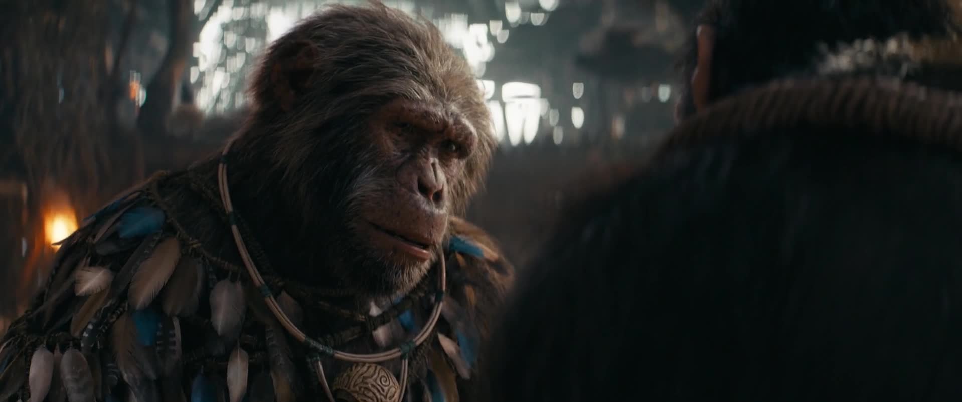 Království Planeta opic   Kingdom Of The Planet Of The Apes 2024 thriller 1080p WEBRip x264 AAC5 1 CZ titulky mp4