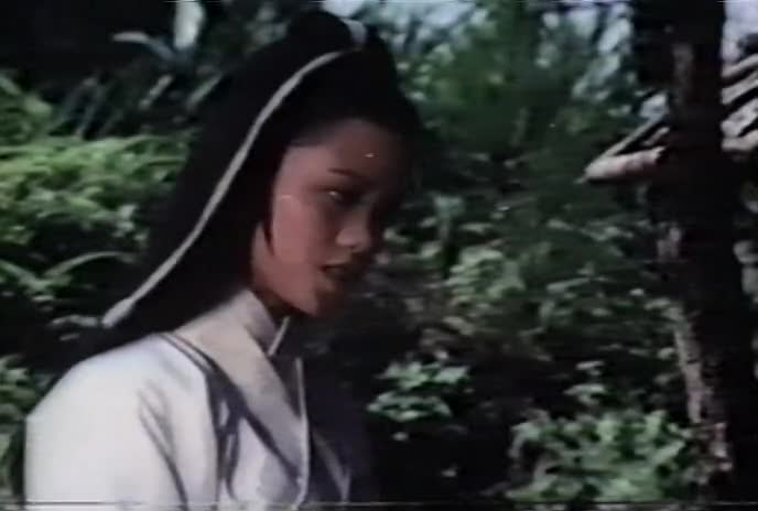 Flaming Swords [1977] x264 DVDrip(KungFu) mp4