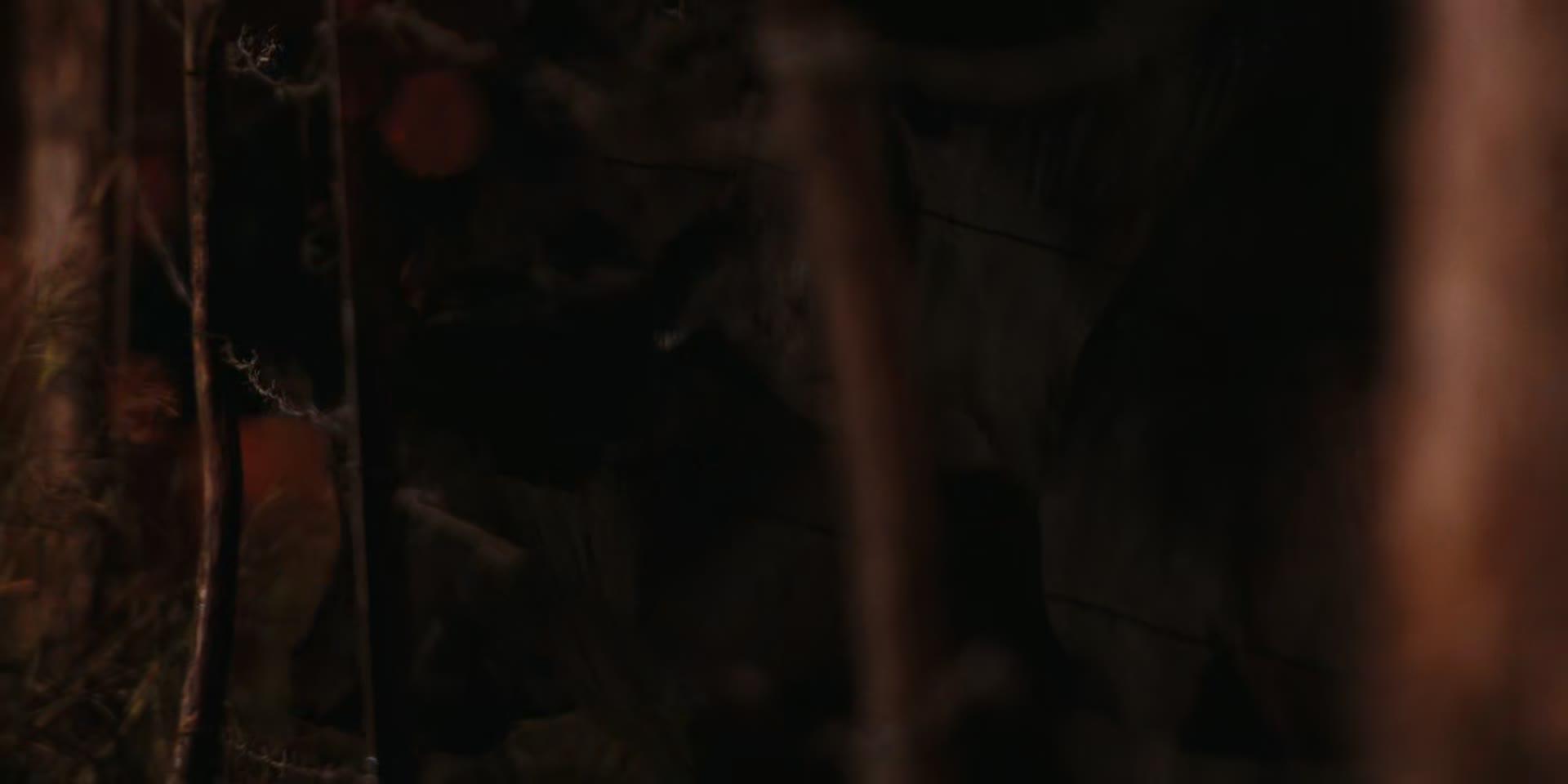 Ranč Duttonových   Dutton Ranch S01E01 1080p HEVC x265 MeGusta mkv